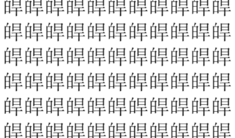 【脳トレ】「皔」の中に紛れて1つ違う文字がある！？あなたは何秒で探し出せるかな？？【違う文字を探せ！】