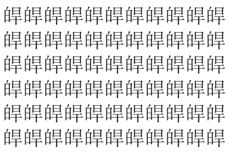 【脳トレ】「皔」の中に紛れて1つ違う文字がある！？あなたは何秒で探し出せるかな？？【違う文字を探せ！】