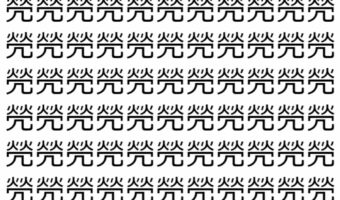 【脳トレ】「焭」の中に紛れて1つ違う文字がある！？あなたは何秒で探し出せるかな？？【違う文字を探せ！】