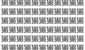 【脳トレ】「玁」の中に紛れて1つ違う文字がある!?あなたは何秒で探し出せるかな??【違う文字を探せ!】