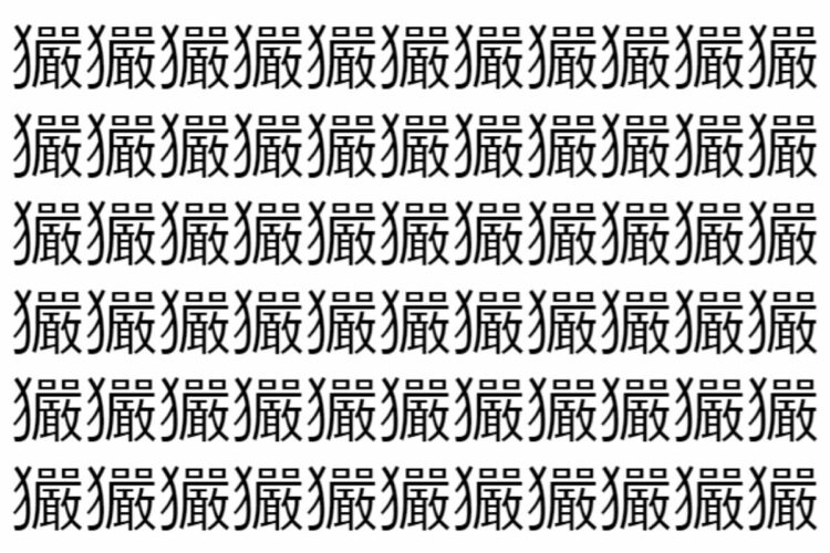 【脳トレ】「玁」の中に紛れて1つ違う文字がある！？あなたは何秒で探し出せるかな？？【違う文字を探せ！】