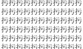 【脳トレ】「扝」の中に紛れて1つ違う文字がある!?あなたは何秒で探し出せるかな??【違う文字を探せ!】
