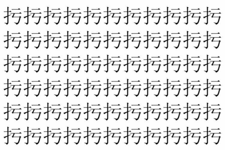 【脳トレ】「扝」の中に紛れて1つ違う文字がある！？あなたは何秒で探し出せるかな？？【違う文字を探せ！】