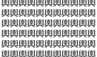 【脳トレ】「輿」の中に紛れて1つ違う文字がある!?あなたは何秒で探し出せるかな??【違う文字を探せ!】