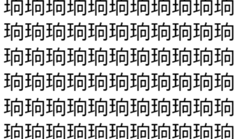 【脳トレ】「珦」の中に紛れて1つ違う文字がある！？あなたは何秒で探し出せるかな？？【違う文字を探せ！】