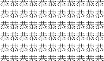【脳トレ】「恭」の中に紛れて1つ違う文字がある！？あなたは何秒で探し出せるかな？？【違う文字を探せ！】