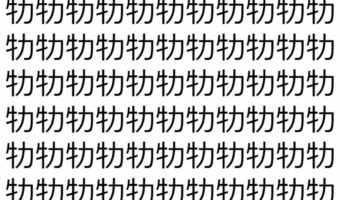 【脳トレ】「牞」の中に紛れて1つ違う文字がある！？あなたは何秒で探し出せるかな？？【違う文字を探せ！】