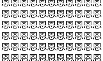 【脳トレ】「恩」の中に紛れて1つ違う文字がある!?あなたは何秒で探し出せるかな??【違う文字を探せ!】