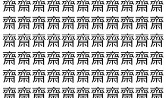 【脳トレ】「齋」の中に紛れて1つ違う文字がある!?あなたは何秒で探し出せるかな??【違う文字を探せ!】