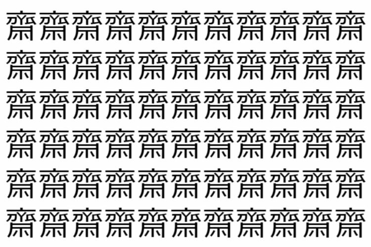 【脳トレ】「齋」の中に紛れて1つ違う文字がある！？あなたは何秒で探し出せるかな？？【違う文字を探せ！】