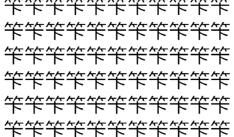 【脳トレ】「笇」の中に紛れて1つ違う文字がある!?あなたは何秒で探し出せるかな??【違う文字を探せ!】