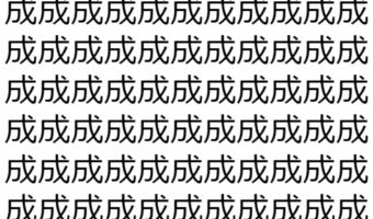 【脳トレ】「成」の中に紛れて1つ違う文字がある!?あなたは何秒で探し出せるかな??【違う文字を探せ!】