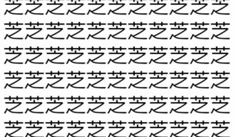 【脳トレ】「芝」の中に紛れて1つ違う文字がある！？あなたは何秒で探し出せるかな？？【違う文字を探せ！】