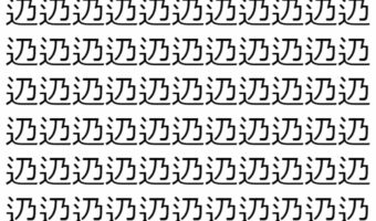【脳トレ】「辸」の中に紛れて1つ違う文字がある!?あなたは何秒で探し出せるかな??【違う文字を探せ!】