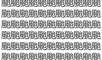 【脳トレ】「颱」の中に紛れて1つ違う文字がある！？あなたは何秒で探し出せるかな？？【違う文字を探せ！】