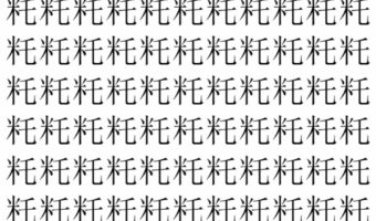 【脳トレ】「籷」の中に紛れて1つ違う文字がある！？あなたは何秒で探し出せるかな？？【違う文字を探せ！】