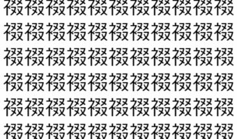 【脳トレ】「裰」の中に紛れて1つ違う文字がある!?あなたは何秒で探し出せるかな??【違う文字を探せ!】
