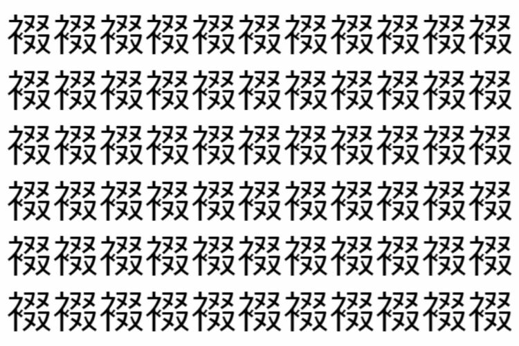 【脳トレ】「裰」の中に紛れて1つ違う文字がある！？あなたは何秒で探し出せるかな？？【違う文字を探せ！】