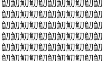 【脳トレ】「魛」の中に紛れて1つ違う文字がある!?あなたは何秒で探し出せるかな??【違う文字を探せ!】