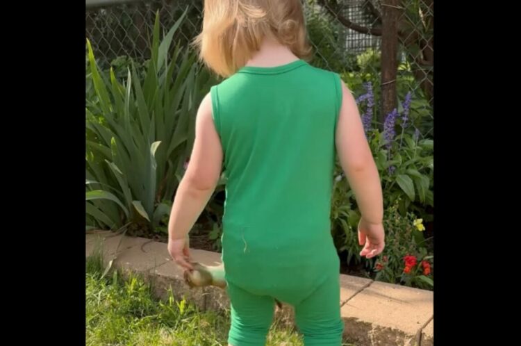 一緒に遊びたいの？女の子からくっついて離れないのは・・フレンドリーなリス！！【アメリカ・動画】