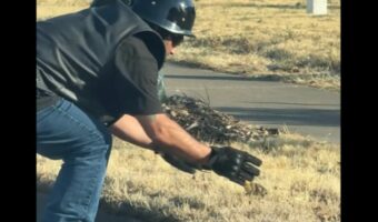 道路の段差に困っていたカモのヒナたちを手助け！親切なライダーたちに「ヒーロー」「リスペクト」の声【アメリカ・動画】