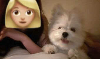 一緒に映画鑑賞!仲良く寝転んで映画を見る愛犬に「尊いですね」「キャアァカワィィッ!」