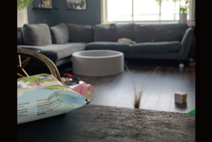 まだイタズラしてないよ！テーブルから稲穂が生えていると思ったら・・その正体は身を隠す幼い女の子！？【海外・動画】