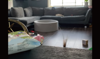 まだイタズラしてないよ！テーブルから稲穂が生えていると思ったら・・その正体は身を隠す幼い女の子！？【海外・動画】