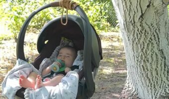 最高のゆりかご。木の下でぐっすり眠る赤ちゃん