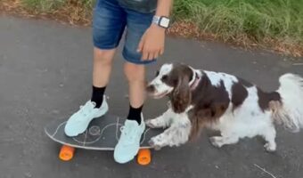 サポートしてくれているの？愛犬のスパニエルがスケートボードを押す！！【海外・動画】