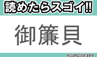 【読めたらスゴイ！】「御簾貝」とは一体何のこと！？ウミウシの仲間ですが・・・この漢字を読めますか？