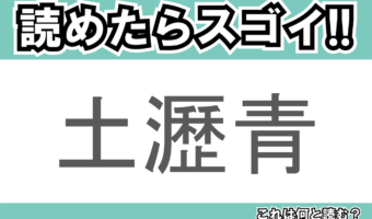 【読めたらスゴイ!】「土瀝青」とは一体何のこと!?道路の舗装などに用いられますが・・・・この漢字を読めますか?