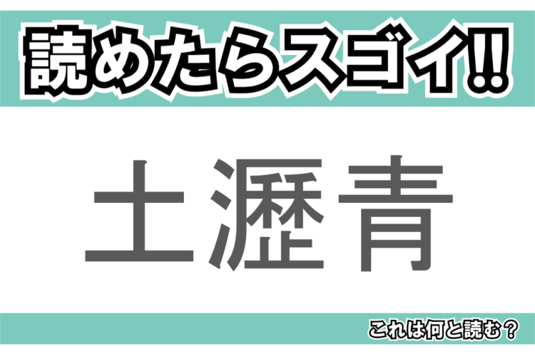 【読めたらスゴイ！】「土瀝青」とは一体何のこと！？道路の舗装などに用いられますが・・・・この漢字を読めますか？