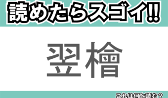 【読めたらスゴイ！】「翌檜」とは一体何のこと！？ヒノキに似た植物ですが・・・この漢字を読めますか？