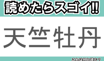 【読めたらスゴイ!】「天竺牡丹」とは一体何のこと!?大きくて丸い形をしたその花は・・・この漢字を読めますか?