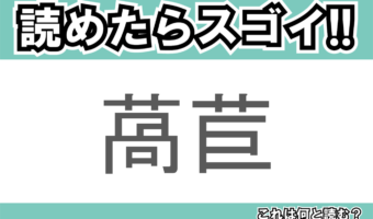 【読めたらスゴイ!】「萵苣」とは一体何のこと!?シャキシャキ食感のあの野菜ですが・・・この漢字を読めますか?
