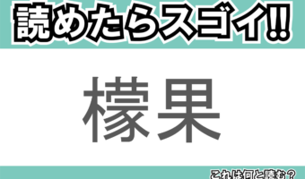 【読めたらスゴイ!】「檬果」とは一体何のこと!?ジュースやアイスなどで人気のそのフルーツ・・・この漢字を読めますか?