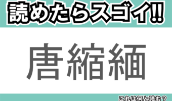 【読めたらスゴイ!】「唐縮緬」とは一体何のこと!?衣類にも使われる毛織物の一種ですが・・・この漢字を読めますか?