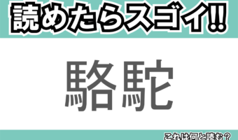 【読めたらスゴイ！】「駱駝」とは一体何のこと！？砂漠地域で大活躍している生物ですが・・・この漢字を読めますか？