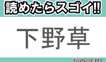 【読めたらスゴイ!】「下野草」とは一体何のこと!?園芸品種もある花の名前ですが・・・この漢字を読めますか?