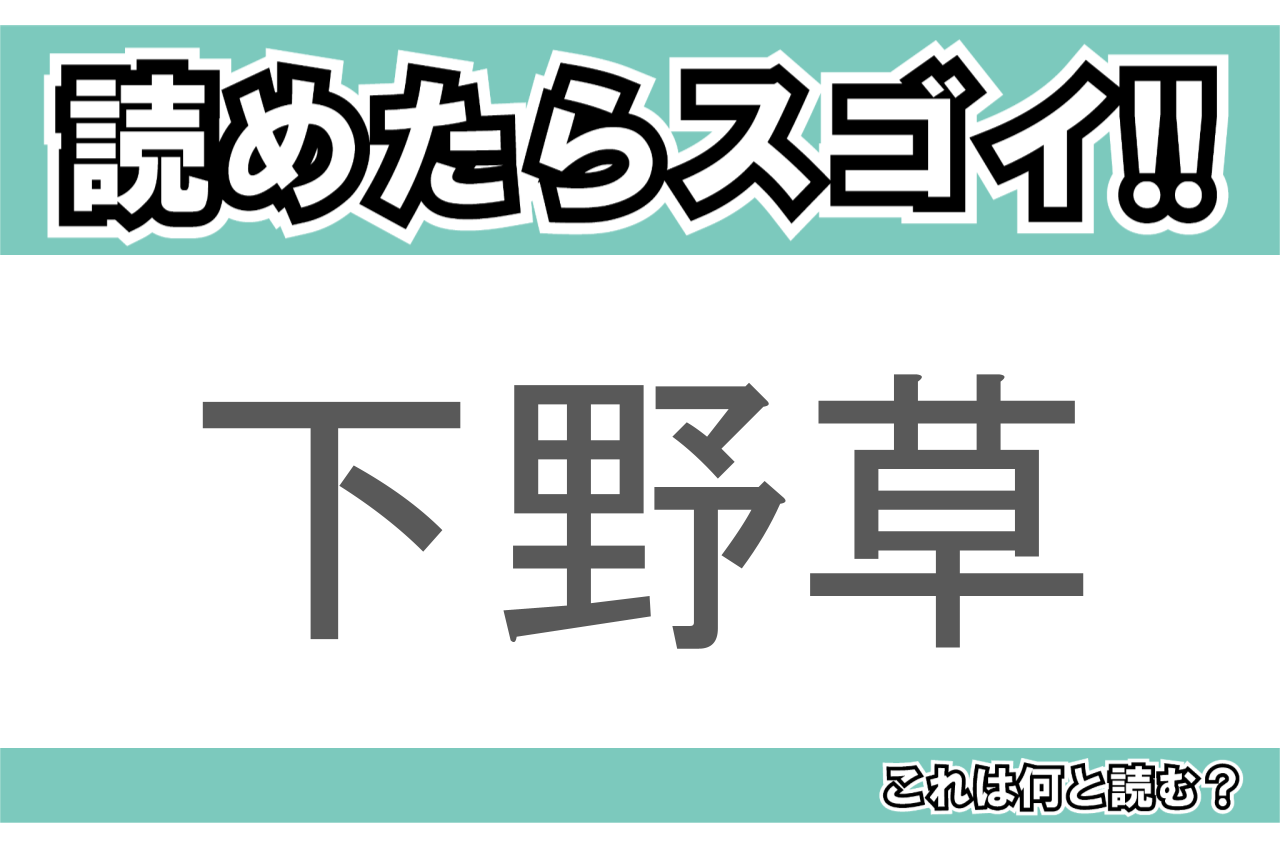【読めたらスゴイ!】「下野草」とは一体何のこと!?園芸品種もある花の名前ですが・・・この漢字を読めますか?