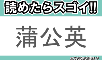 【読めたらスゴイ!】「蒲公英」とは一体何のこと!?春を代表する花のひとつですが・・・この漢字を読めますか?