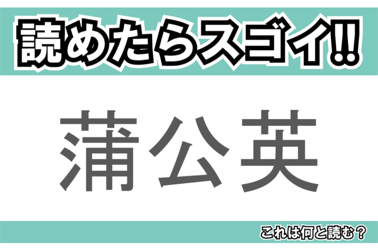 【読めたらスゴイ！】「蒲公英」とは一体何のこと！？春を代表する花のひとつですが・・・この漢字を読めますか？