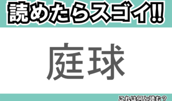【読めたらスゴイ!】「庭球」とは一体何のこと!?世界的に人気を誇るスポーツですが・・・この漢字を読めますか?