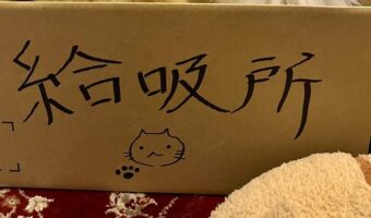 家族が用意してくれたご褒美が最高すぎる!連休長距離運転の疲れも吹き飛ぶ「給すい所」が話題に