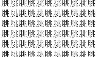 【脳トレ】「脁」の中に紛れて1つ違う文字がある！？あなたは何秒で探し出せるかな？？【違う文字を探せ！】