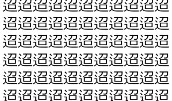 【脳トレ】「迢」の中に紛れて1つ違う文字がある！？あなたは何秒で探し出せるかな？？【違う文字を探せ！】