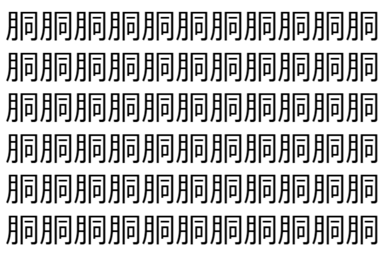 【脳トレ】「胴」の中に紛れて1つ違う文字がある！？あなたは何秒で探し出せるかな？？【違う文字を探せ！】