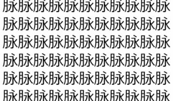 【脳トレ】「脉」の中に紛れて1つ違う文字がある！？あなたは何秒で探し出せるかな？？【違う文字を探せ！】