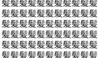 【脳トレ】「髪」の中に紛れて1つ違う文字がある！？あなたは何秒で探し出せるかな？？【違う文字を探せ！】